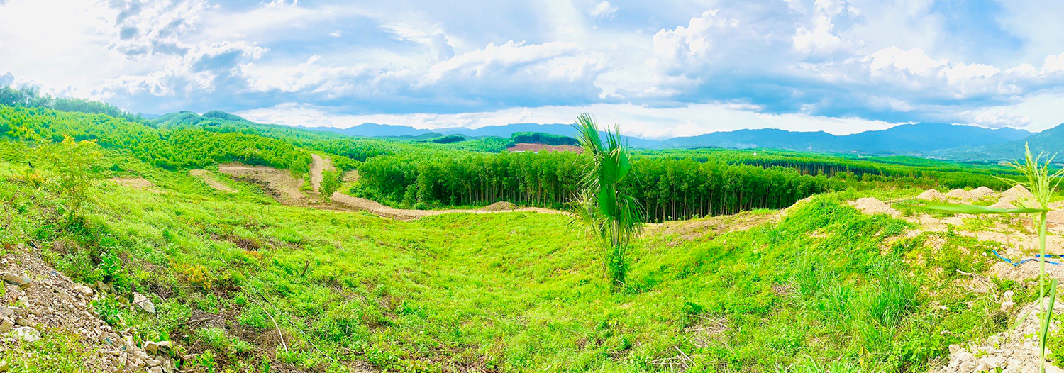 skinvest.com.vn